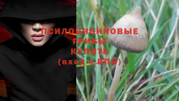 синтетический гашиш Каменногорск