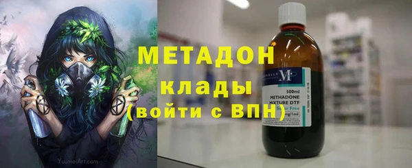 сатива Карпинск