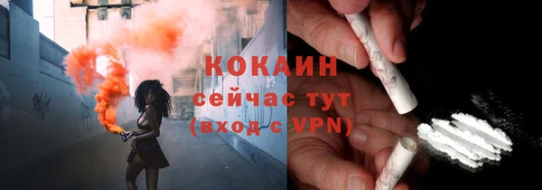 сатива Карпинск