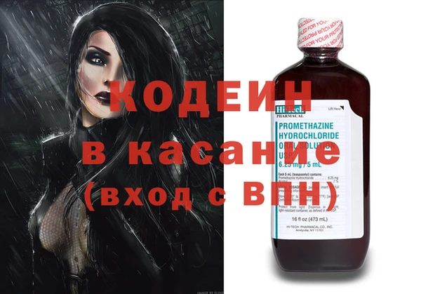 сатива Карпинск