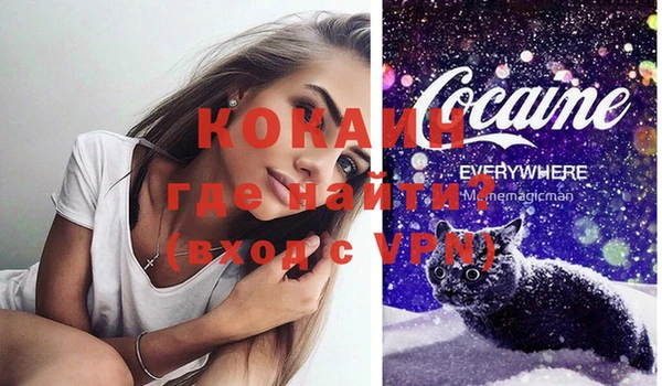 сатива Карпинск