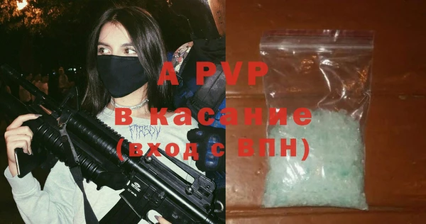 сатива Карпинск