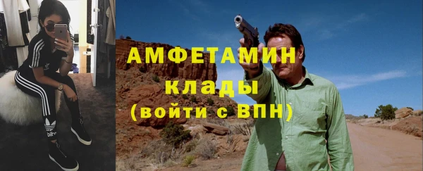 сатива Карпинск