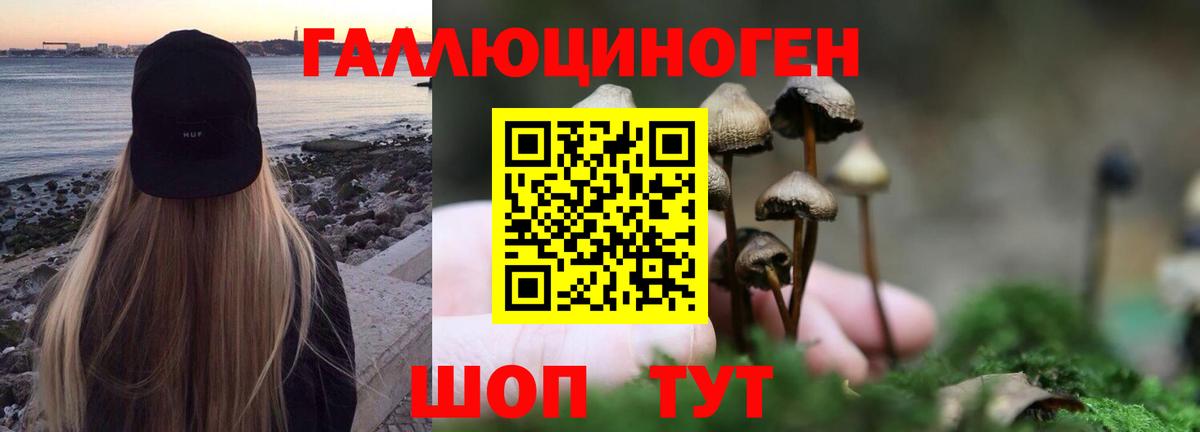 Кизилюрт  Псилоцибиновые грибы мицелий  Вход с VPN 